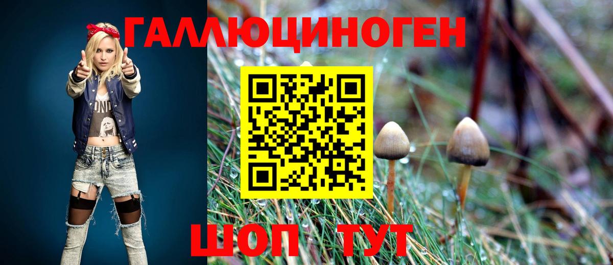 Псилоцибиновые грибы GOLDEN TEACHER  Вход с VPN  Заволжье 